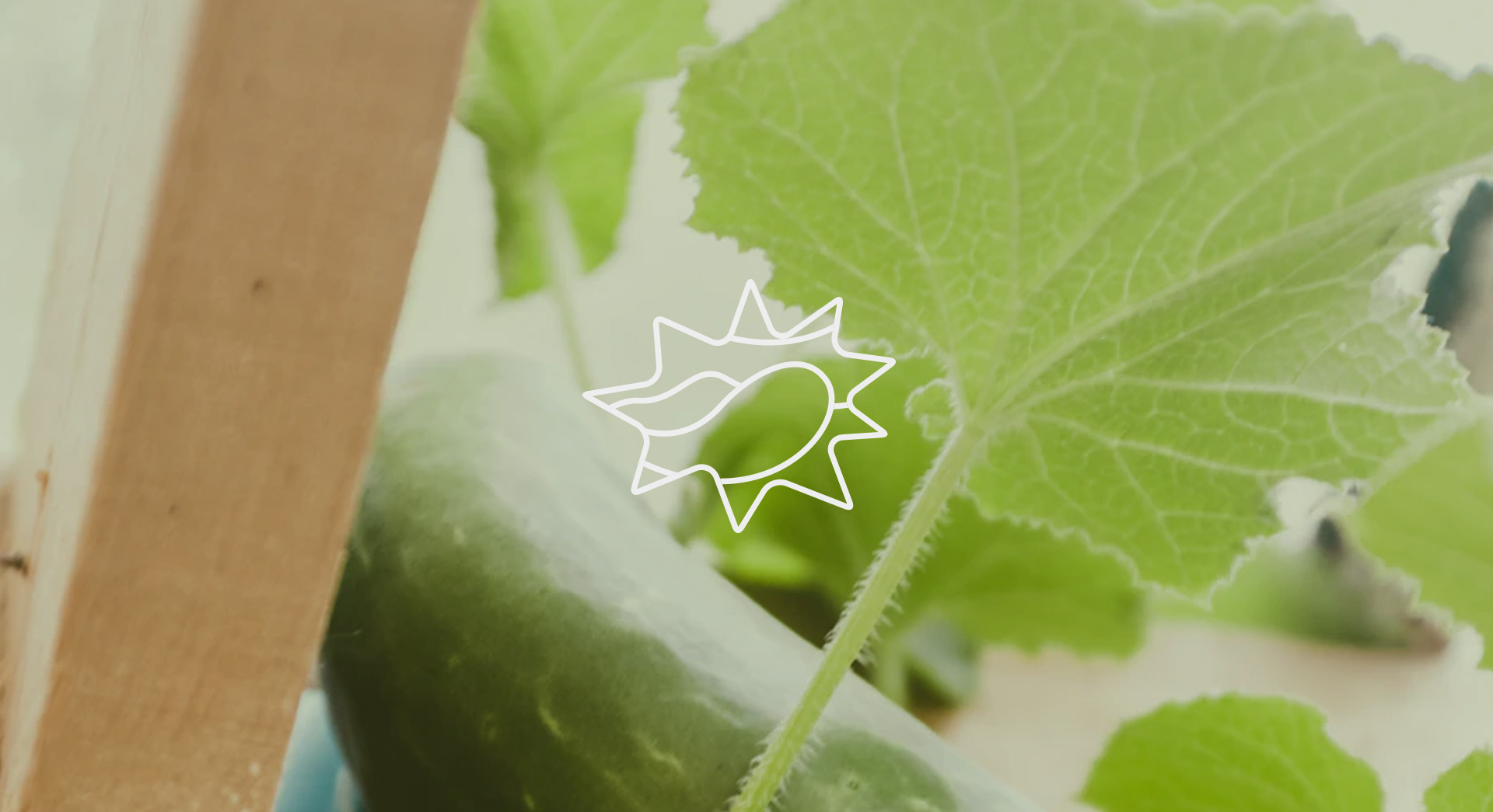 凉是凉了,但不是你要的秋凉!今晚至后天,梅州有大雨...