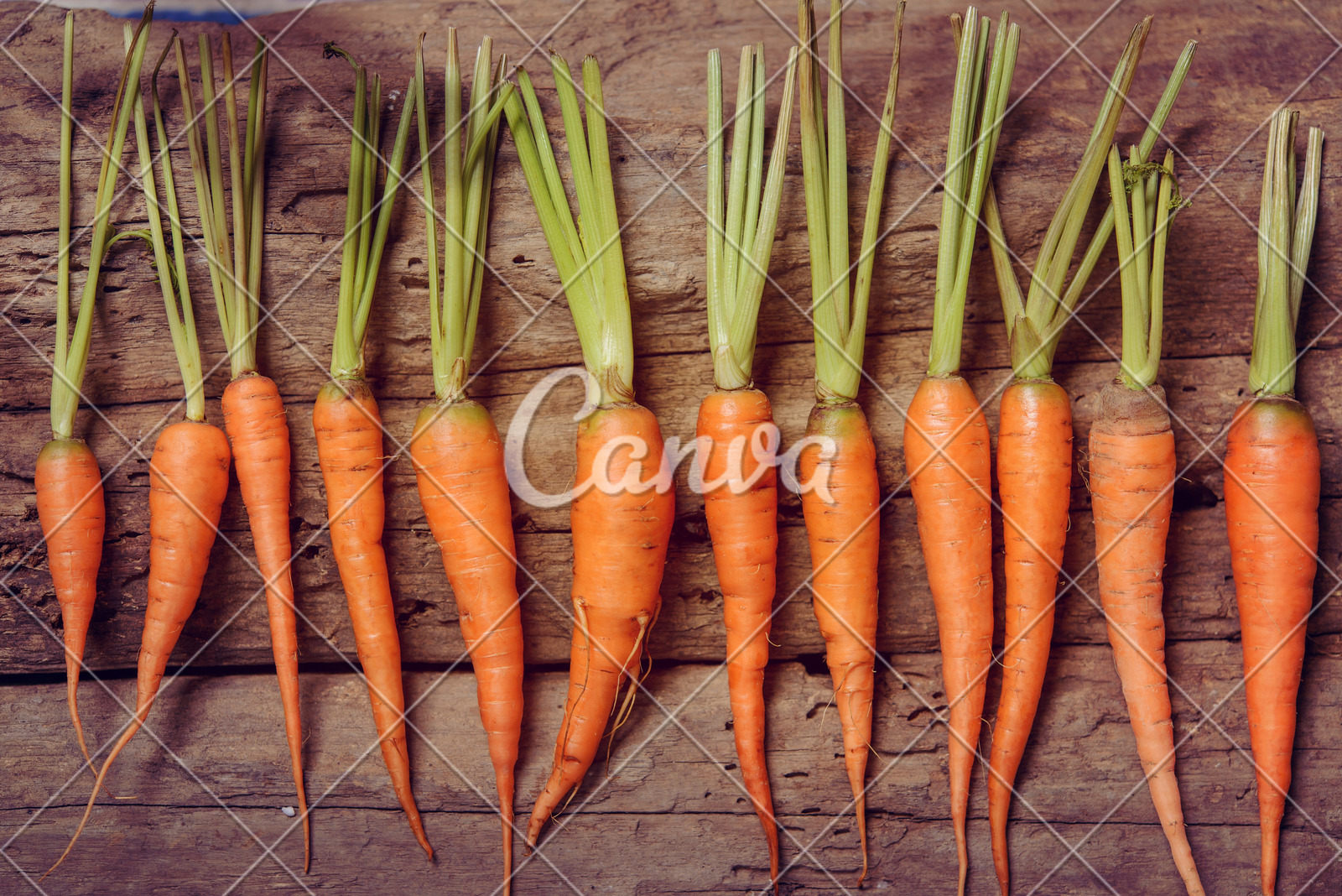 甘肃省市场监管局开展2022年“保公平、促发展”反不正当竞争专项执法行动