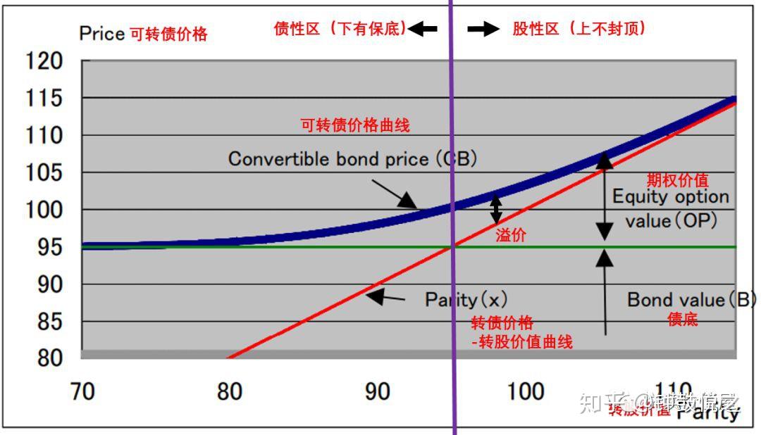 湛江市医学会首届肿瘤防治学术会议举办  肿瘤防治学分会成立