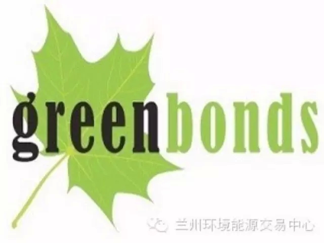 净利连续两个季度同比下降，拼多多以让利换产业生态塑造