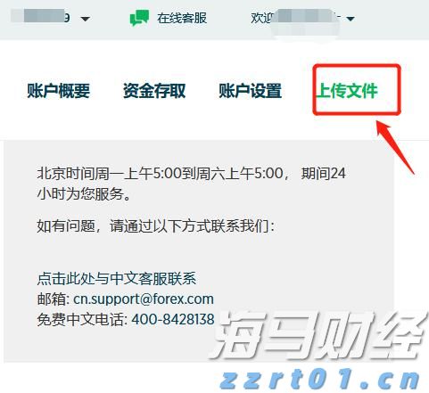 深耕创作沃土 讲好徐闻故事