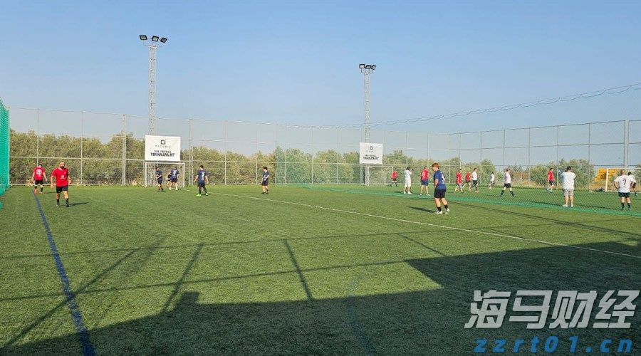 国家发展改革委：2025年上半年以工代赈吸纳208万名低收入群众就近就业